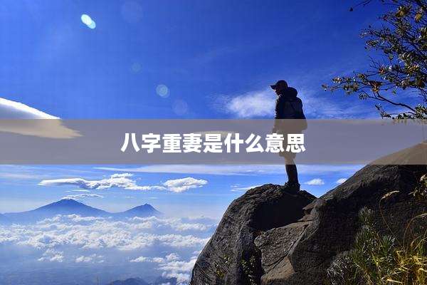 八字重妻是什么意思