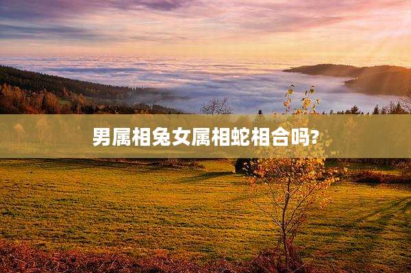 男属相兔女属相蛇相合吗?