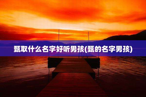 甄取什么名字好听男孩(甄的名字男孩)