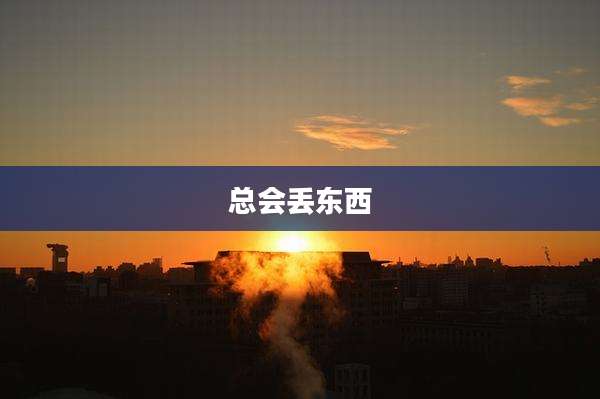 总会丢东西