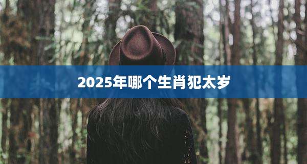 2025年哪个生肖犯太岁