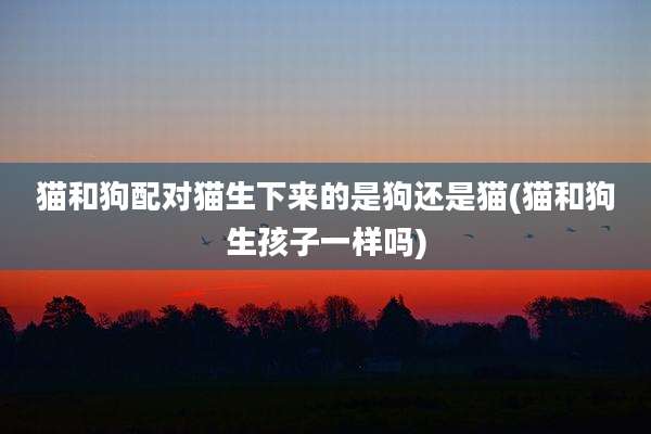 猫和狗配对猫生下来的是狗还是猫(猫和狗生孩子一样吗)