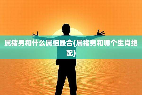 属猪男和什么属相最合(属猪男和哪个生肖绝配)