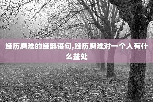 经历磨难的经典语句,经历磨难对一个人有什么益处