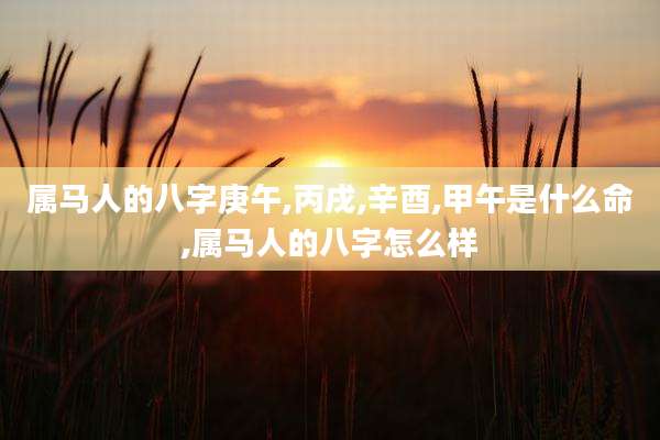 属马人的八字庚午,丙戌,辛酉,甲午是什么命,属马人的八字怎么样