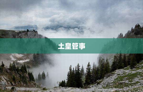 土皇管事