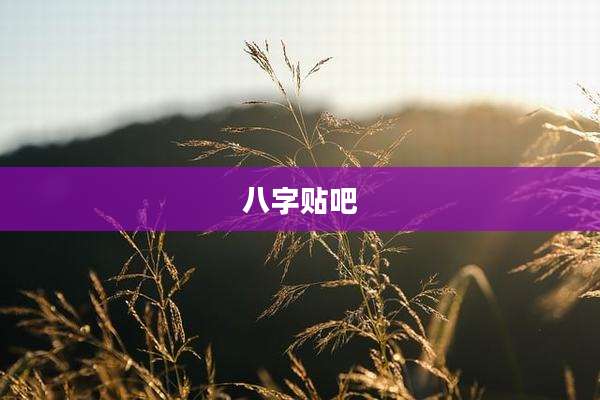 八字贴吧