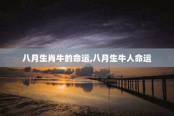 八月生肖牛的命运,八月生牛人命运