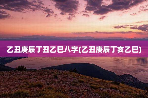 乙丑庚辰丁丑乙巳八字(乙丑庚辰丁亥乙巳)