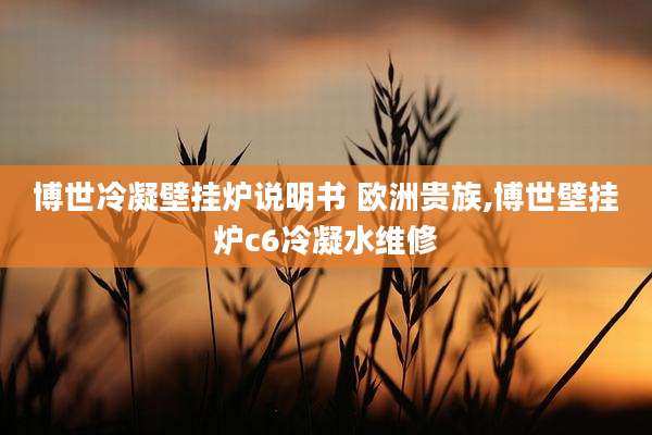 博世冷凝壁挂炉说明书 欧洲贵族,博世壁挂炉c6冷凝水维修