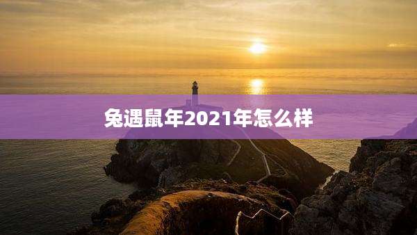 兔遇鼠年2021年怎么样