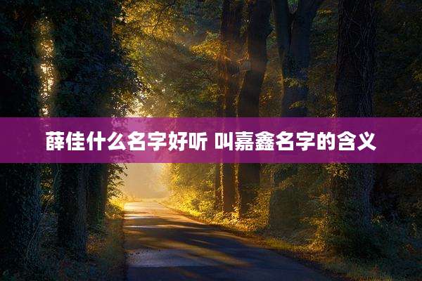 薛佳什么名字好听 叫嘉鑫名字的含义