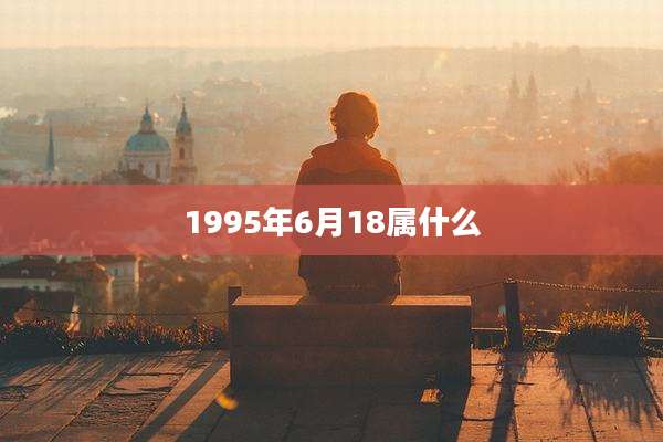 1995年6月18属什么