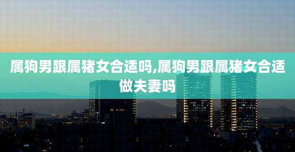 属狗男跟属猪女合适吗,属狗男跟属猪女合适做夫妻吗