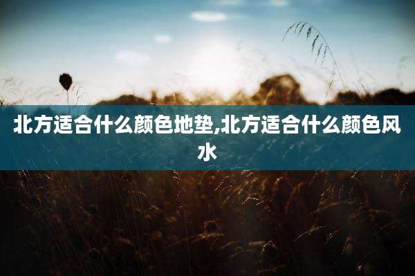 北方适合什么颜色地垫,北方适合什么颜色风水