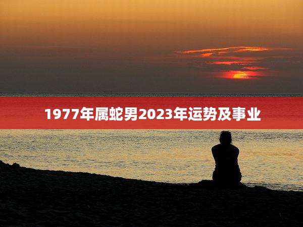 1977年属蛇男2023年运势及事业