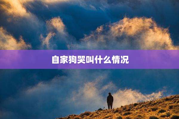 自家狗哭叫什么情况