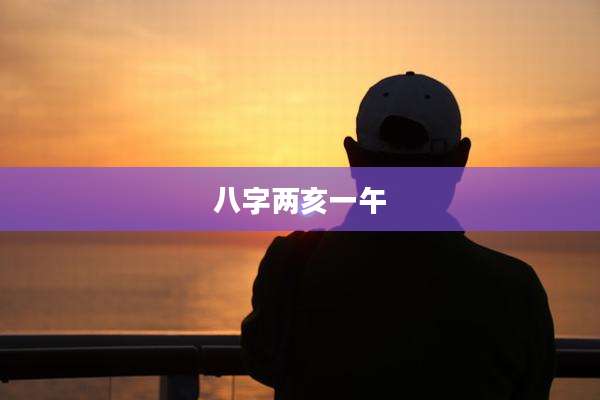 八字两亥一午