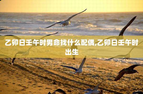 乙卯日壬午时男命找什么配偶,乙卯日壬午时出生