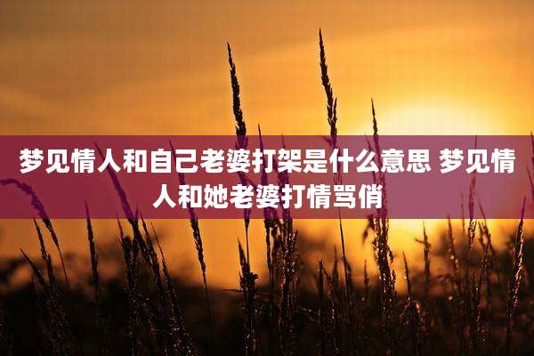 梦见情人和自己老婆打架是什么意思 梦见情人和她老婆打情骂俏