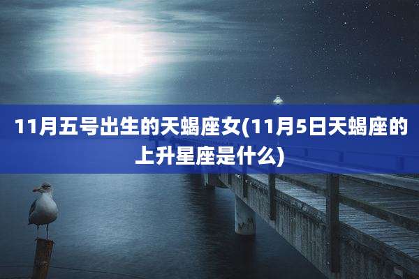 11月五号出生的天蝎座女(11月5日天蝎座的上升星座是什么)