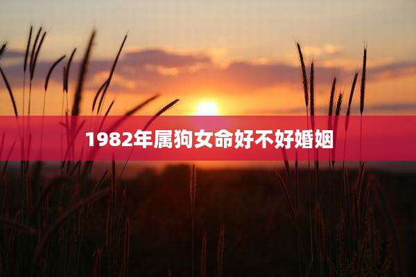 1982年属狗女命好不好婚姻
