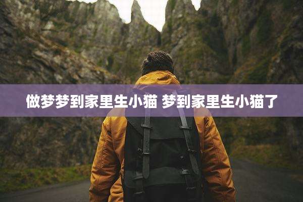 做梦梦到家里生小猫 梦到家里生小猫了