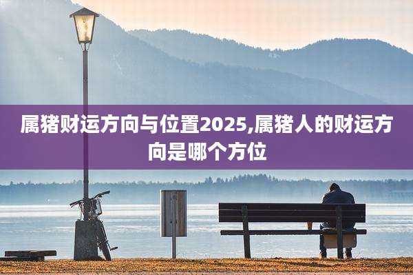 属猪财运方向与位置2025,属猪人的财运方向是哪个方位