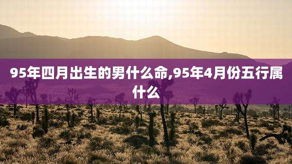 95年四月出生的男什么命,95年4月份五行属什么