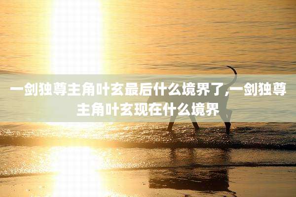 一剑独尊主角叶玄最后什么境界了,一剑独尊主角叶玄现在什么境界