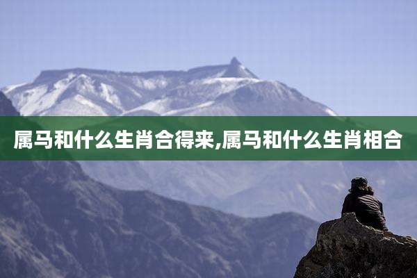 属马和什么生肖合得来,属马和什么生肖相合