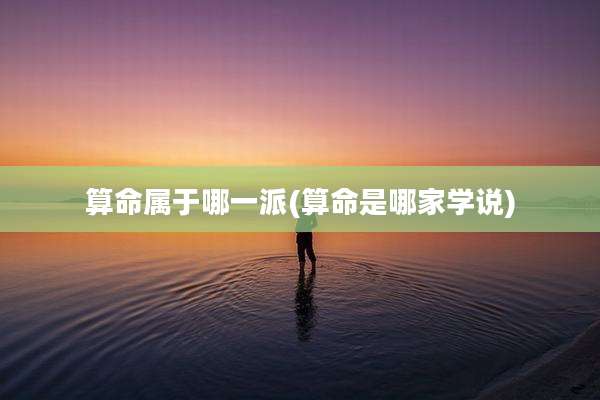 算命属于哪一派(算命是哪家学说)