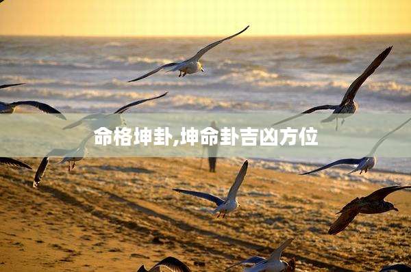 命格坤卦,坤命卦吉凶方位