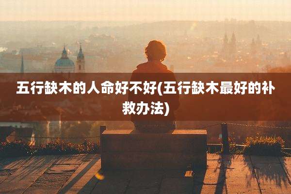 五行缺木的人命好不好(五行缺木最好的补救办法)
