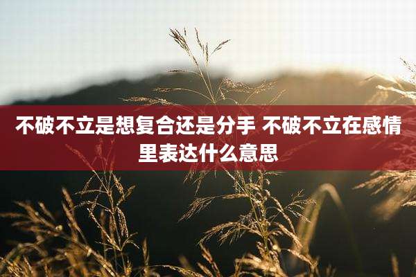 不破不立是想复合还是分手 不破不立在感情里表达什么意思
