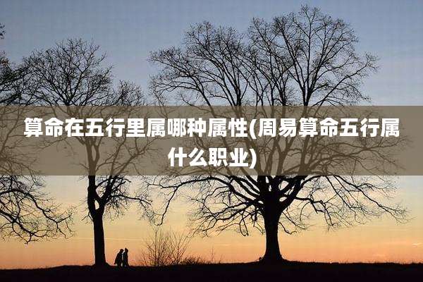 算命在五行里属哪种属性(周易算命五行属什么职业)