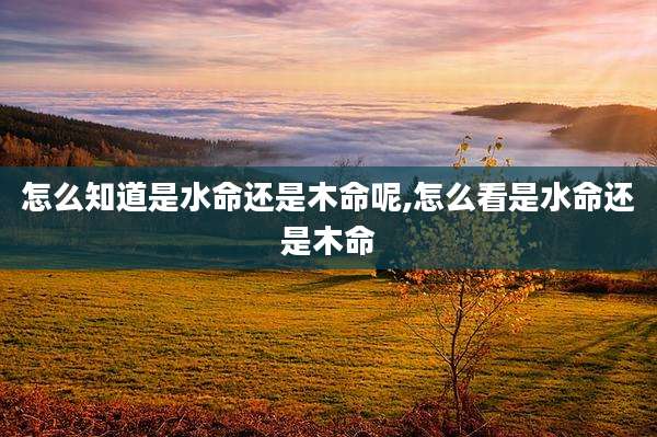 怎么知道是水命还是木命呢,怎么看是水命还是木命