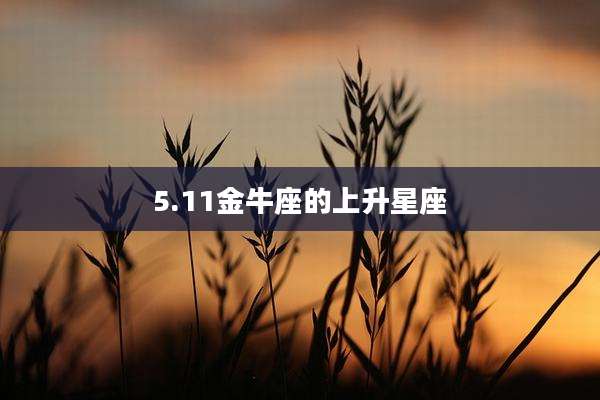 5.11金牛座的上升星座
