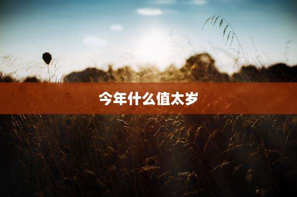 今年什么值太岁