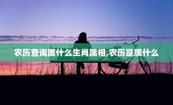农历查询属什么生肖属相,农历是属什么