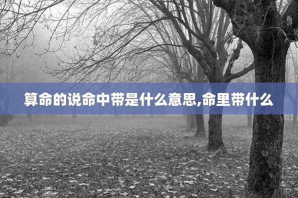算命的说命中带是什么意思,命里带什么