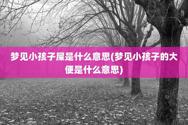 梦见小孩子屎是什么意思(梦见小孩子的大便是什么意思)