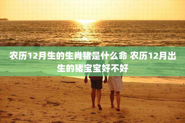 农历12月生的生肖猪是什么命 农历12月出生的猪宝宝好不好