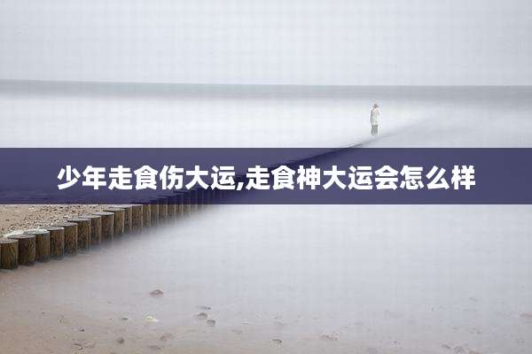少年走食伤大运,走食神大运会怎么样