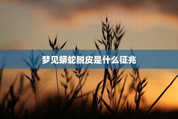 梦见蟒蛇脱皮是什么征兆