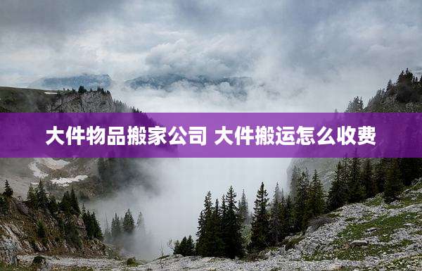 大件物品搬家公司 大件搬运怎么收费