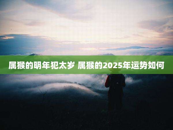 属猴的明年犯太岁 属猴的2025年运势如何