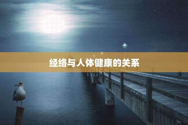 经络与人体健康的关系