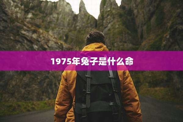1975年兔子是什么命