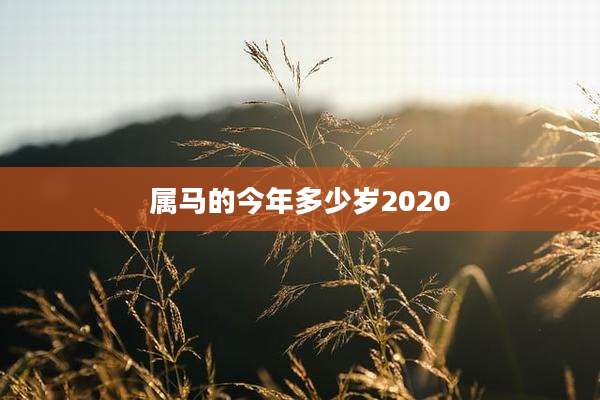 属马的今年多少岁2020
